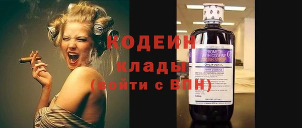 не бодяженный Ельня
