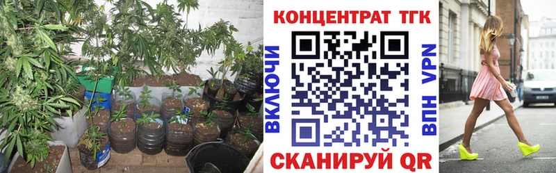 Купить закладки  Зея  ТГК жижа 