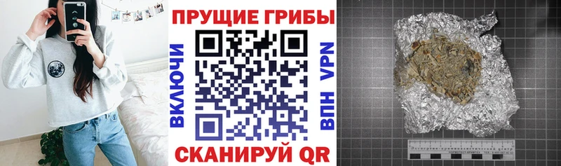 Купить  Зея  Псилоцибиновые грибы Psilocybine cubensis 