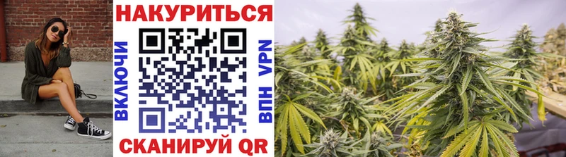 Канабис Bruce Banner  Купить где  Зея 